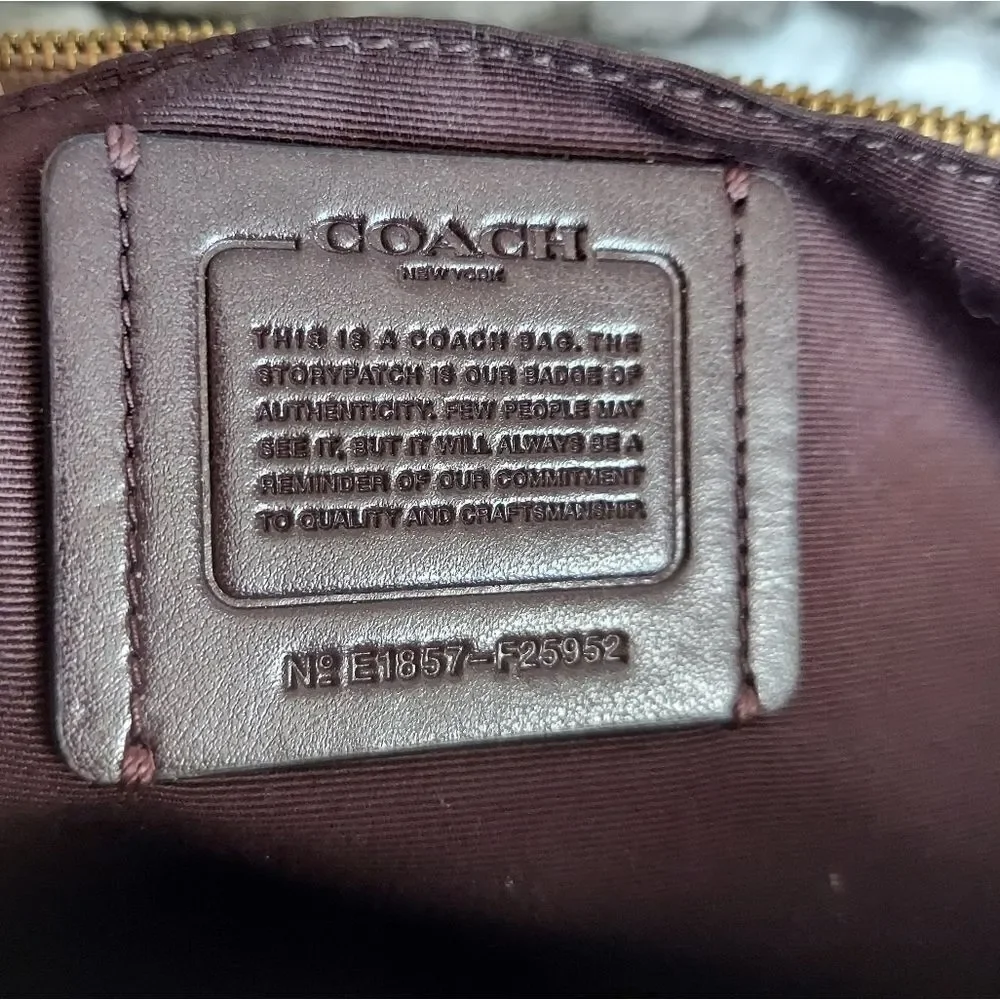BROOKE CARRYALL IN SIGNATURE LEATHER (COACH F25952)